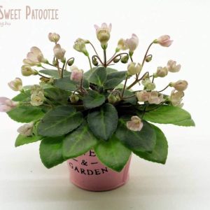 Morgan's Sweet Patootie fokföldi ibolya levél