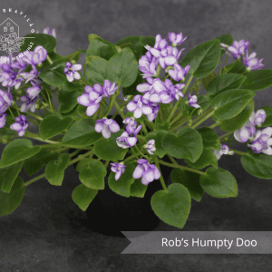 Rob’s Humpty Doo