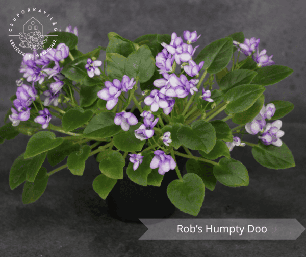 Rob’s Humpty Doo