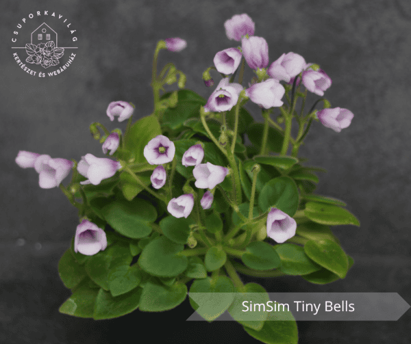 SimSim Tiny Bells