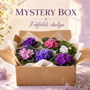 Mytery box - 3 növény + 3 levél