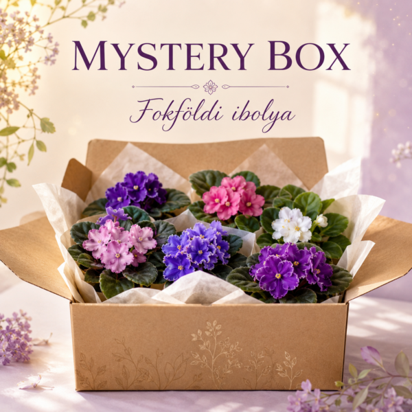 Mytery box - 3 növény + 3 levél